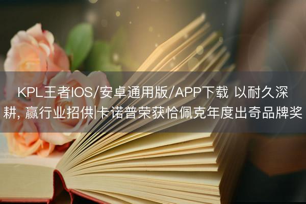 KPL王者IOS/安卓通用版/APP下载 以耐久深耕， 赢行业招供|卡诺普荣获恰佩克年度出奇品牌奖