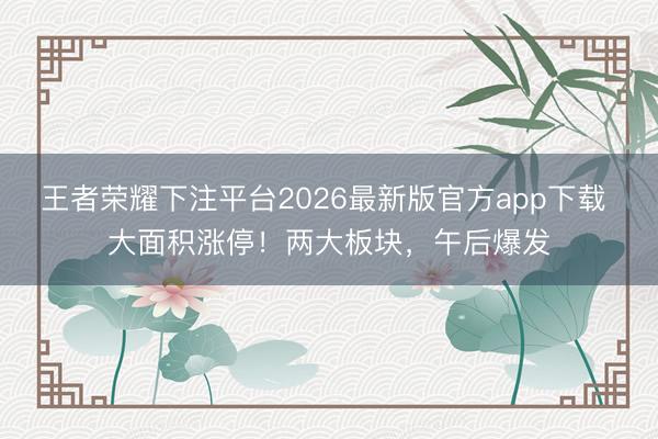 王者荣耀下注平台2026最新版官方app下载 大面积涨停!两大板块,午后爆发