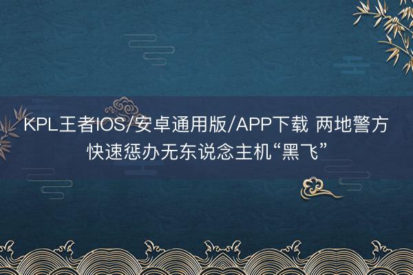 KPL王者IOS/安卓通用版/APP下载 两地警方快速惩办无东说念主机“黑飞”