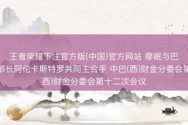 王者荣耀下注官方版(中国)官方网站 廖岷与巴西财政部副部长阿伦卡斯特罗共同主合手 中巴(西)财金分委会第十二次会议