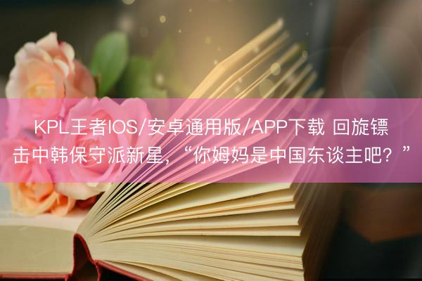 KPL王者IOS/安卓通用版/APP下载 回旋镖击中韩保守派新星，“你姆妈是中国东谈主吧？”