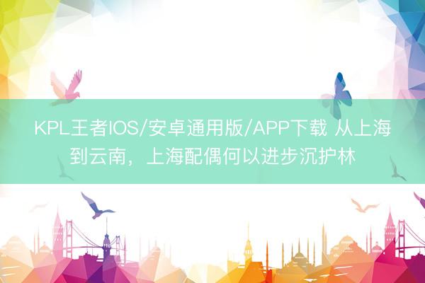 KPL王者IOS/安卓通用版/APP下载 从上海到云南，上海配偶何以进步沉护林