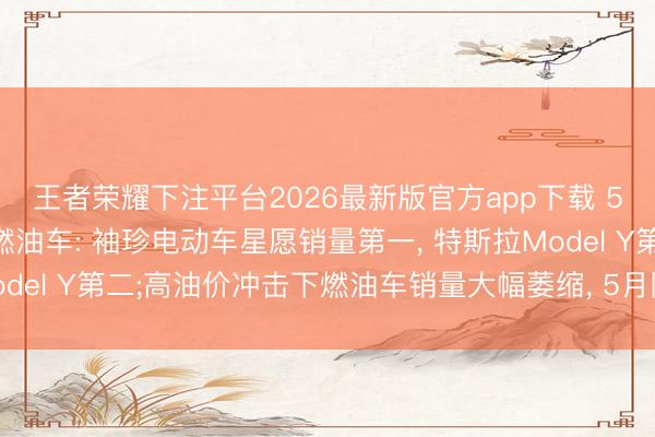 王者荣耀下注平台2026最新版官方app下载 5月汽车销量前十已无燃油车: 袖珍电动车星愿销量第一， 特斯拉Model Y第二;高油价冲击下燃油车销量大幅萎缩， 5月同比着落39%