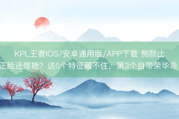 KPL王者IOS/安卓通用版/APP下载 侧颜比正脸还惊艳？这5个特征藏不住，第3个自带荣华命！