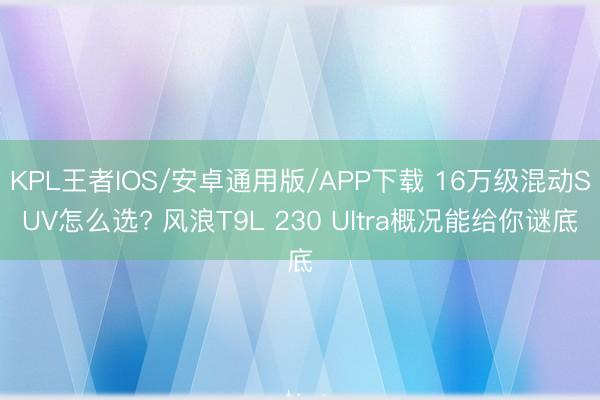 KPL王者IOS/安卓通用版/APP下载 16万级混动SUV怎么选? 风浪T9L 230 Ultra概况能给你谜底