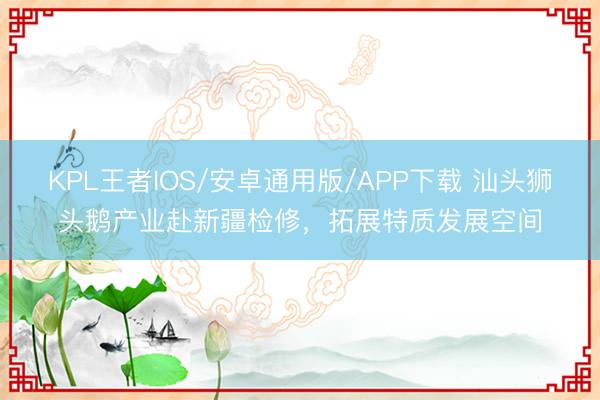 KPL王者IOS/安卓通用版/APP下载 汕头狮头鹅产业赴新疆检修，拓展特质发展空间